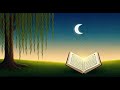 Soothing Quran Recitation For Sleep Surah An Naml Reciter Bilal Darbali سورة النمل