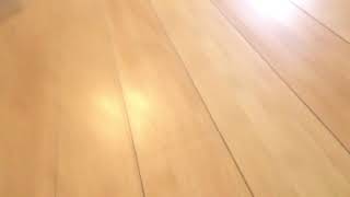 The Darkest Path: Bear’s Story (Bear bites Marisol)