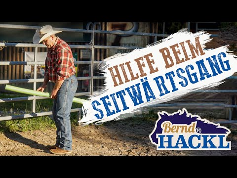 Hilfe beim Seitwärtsgang | Bernd Hackl erklärt! 🐴