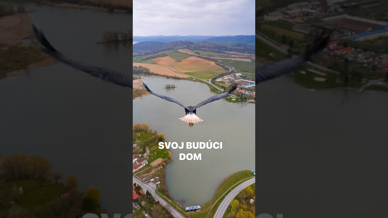 Na predaj slnečné pozemky pre rodinné domy, 6 km od Domaše