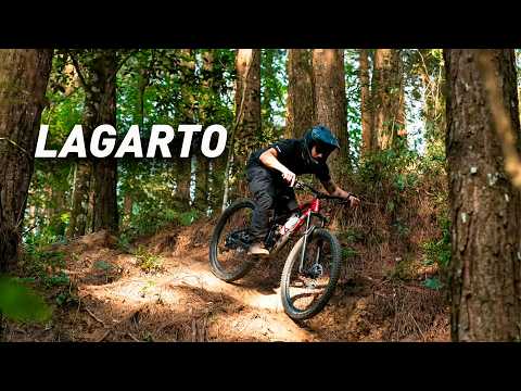 Lagarto, Anibal Khury, Tamandaflow | Almirante Tamandaré, PR |  MTB Enduro DH