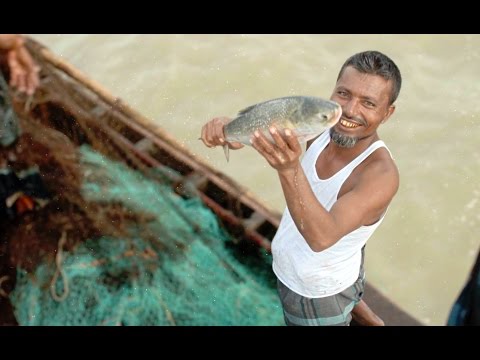 , title : 'Conserving hilsa and building livelihoods in Bangladesh'