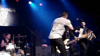 Street Dogs - Shards of life  - Live @ Hofterlo 2008