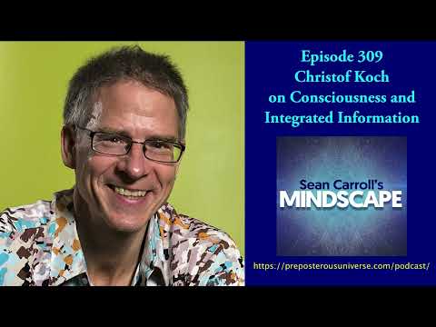 Mindscape 309 | Christof Koch on Consciousness and Integrated Information