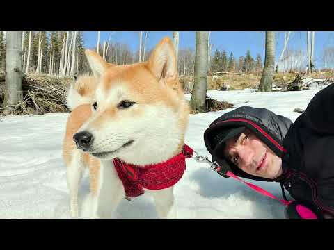 Jaro 2022 - Jablunkovsko