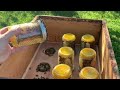 Mason Jar Comb Honey Beekeeping