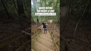 I Hiked Dragon Crest Mountain. It Was Horrible.