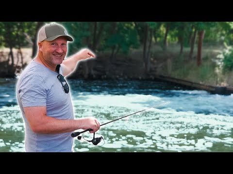 Sommer Spot für alle Räuber! So fängst du sie am Wehr