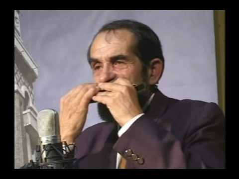 Harmonica Nelu Stefan & Fratii Goiana - Sarbe Oltenesti
