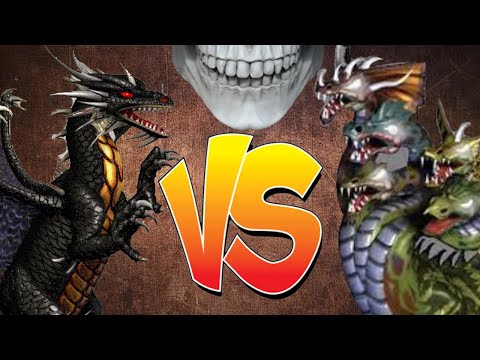Heroes of Might and Magic III. Black dragon VS Chaos hydra