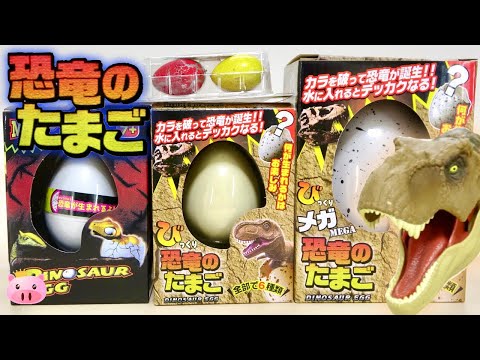 卵の殻から恐竜の体温がわかる