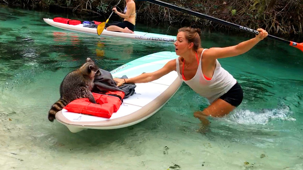 Damn Nature You Crazy | Fails in the Wild!