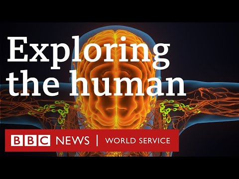 The new medical innovations that could change everything - The Engineers, BBC World Service