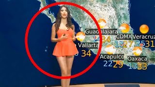 videos de risa Fases divertidas en vivo en tv