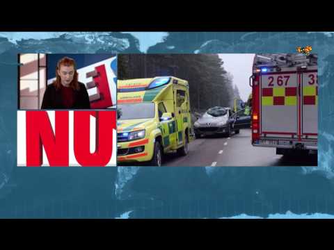 Barnfamilj i krock med älg: "Hade änglavakt"