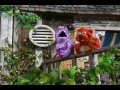 Barney Friends Once A Pond A Time