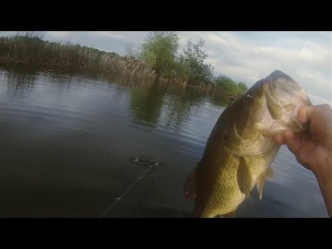 GoPro: Braden Blessing - Best Catch 6.03.15 - Fish