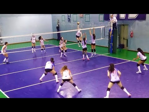 Pallavolo U16F - SERALL DVB  vs  Polisportiva Giovanile Senago
