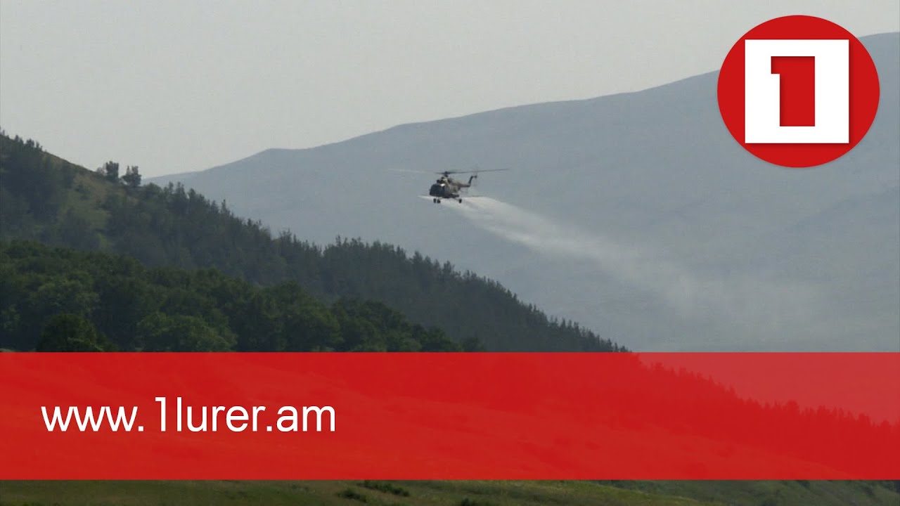 Անտառների փրկություն ավիացիայի միջոցով