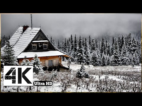 WHITE MOUNTAIN || Natural Scenes  || 4k Video || Nightingale Ultra HD 4k Video Mountain ||