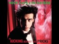 nick cave and the bad seeds - i'm gonna kill ...