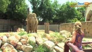 preview picture of video 'Budapest Zoo, Hungary - Unravel Travel TV'