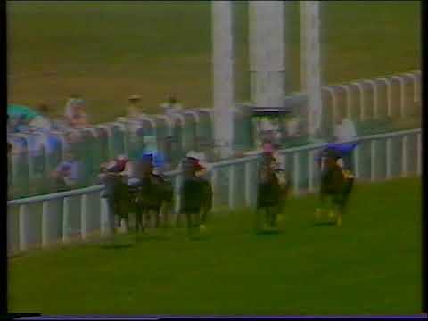 1989 St James's Palace Stakes Shaadi Includes Replay