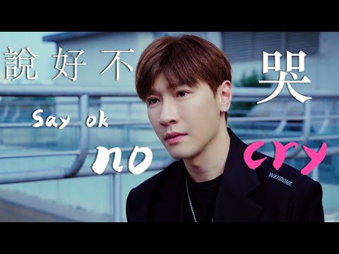 【說好不哭】Jay Chou Cover 英語版 | 如果中文歌用中式英語唱...