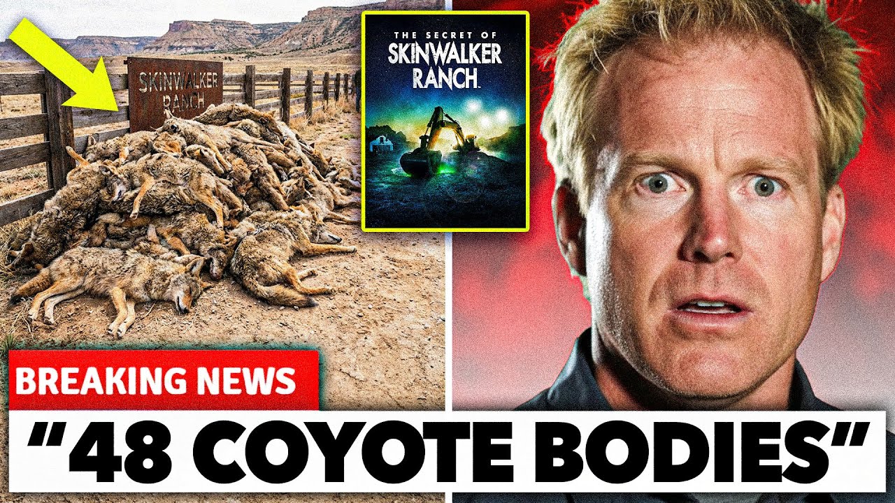 Thumbnail Download HD Thumbnail (1280x720)