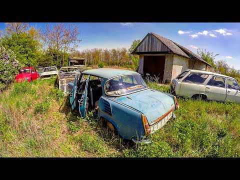 Roncsok 56. - Roncstemető a kertben😱