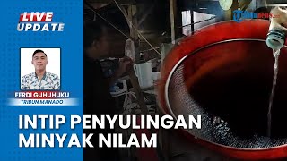 Bisnis Tanaman Nilam Jadi Primadona di Minahasa Selatan, Penjual Raup Untung hingga Jutaan Rupiah
