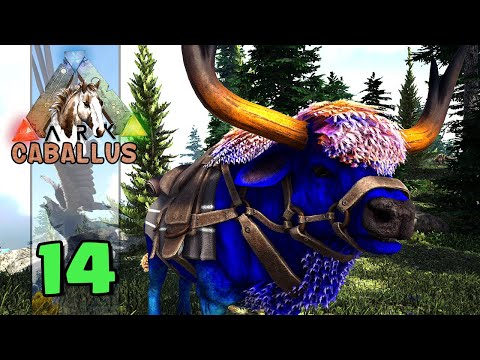 DOMEI UM TOURO LINDÃO!  - ARK CABALLUS - ARK:SURVIVAL EVOLVED #14