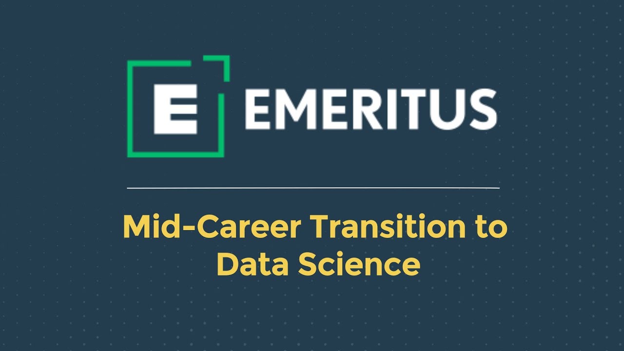 Key Insights for a Successful Journey in the Career Transition to Data Science