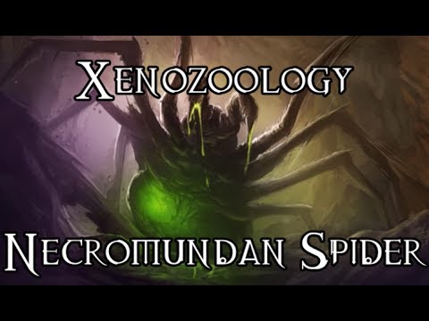 Xenozoology: Necromundan Spider - 40K Theories