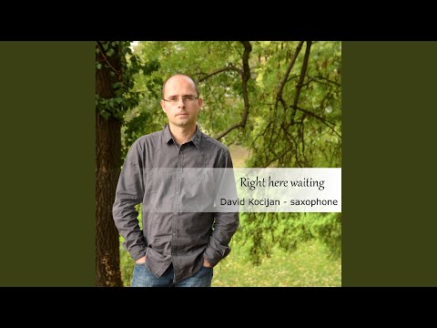 Right Here Waiting (Saxophone Cover)