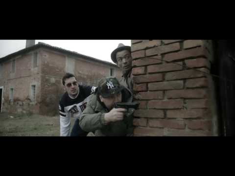 NAVIGATOR meet  THE GRINGOS (Gimmie back my Pepita)