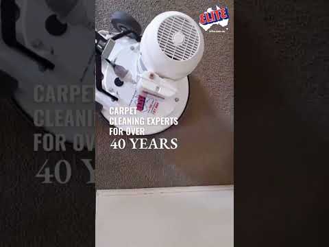 Professional Carpet Dry Agitation and Polishing
