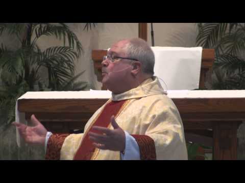 Homily - Solemnity of the Nativity of Saint John the Baptist - June 24, 2012