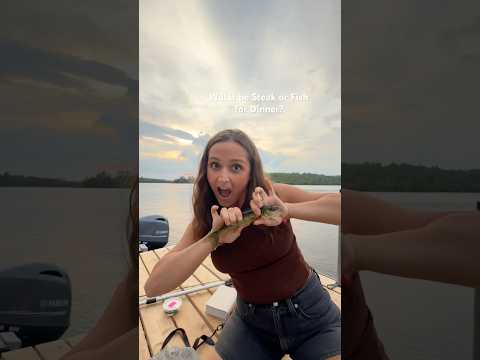 Fishing for Dinner! #shorts #fishing #walleyefishing #fish #lakelife #lakevermilion #minnesota