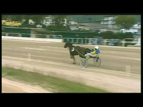 Trotto 02/02/2020 - 2ª corsa