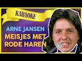 Arne Jansen - Meisjes met rode haren // Sterren NL Karaoke