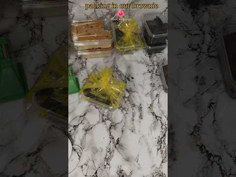 21.5.25 start (stall )in salem9789942397...❤️🌺#cakedecorating #shortsfeed #shorts #brownie #salam