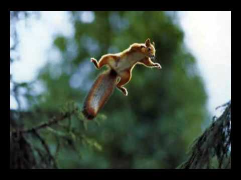 Grayson Shipley-the mighty shari