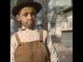 Grey Reverend - Postcard 