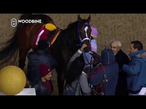2018 Kennedy Road Prep: Woodbine, November 7, 2018 - Race 6