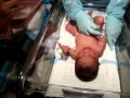Tautai Luke S First Bath