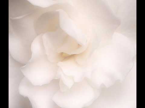 Let it be - Odette Telleria