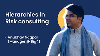 Hierarchies in Risk consulting - explained by a Big4 manager