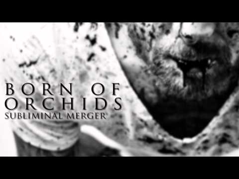Subliminal Merger - Born of Orchids