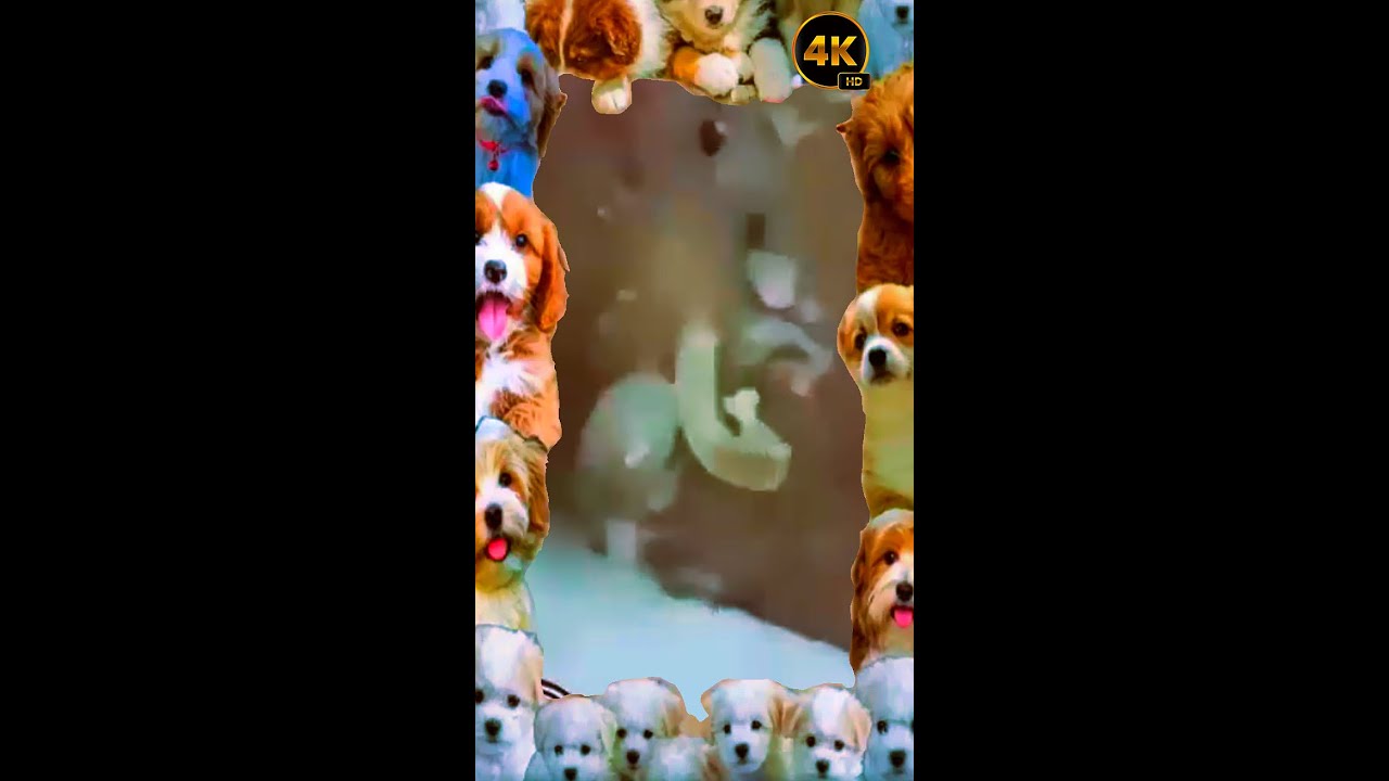 I am goldie vee love I am goldie vee💕💕